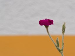 Minimalismus